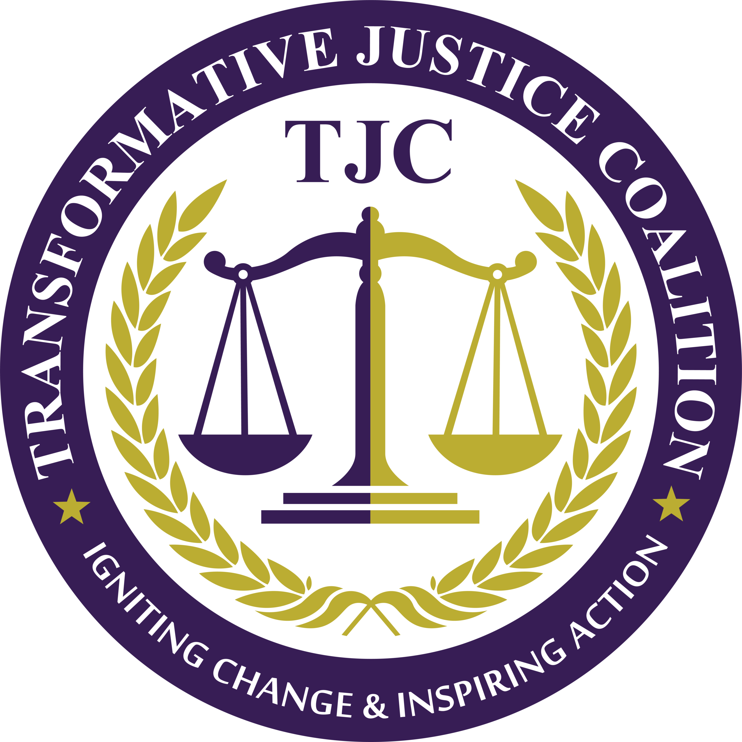 Transformative Justice Coalition